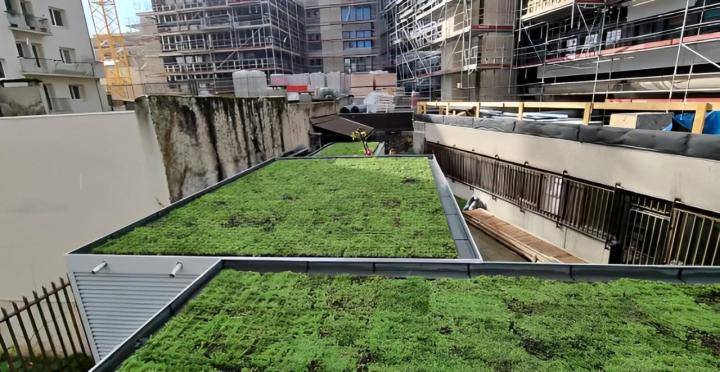 Toiture végétalisée Lyon